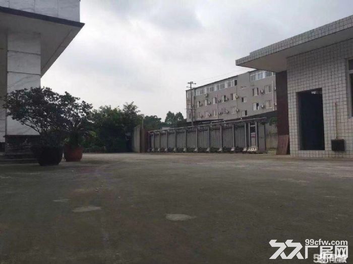 独家独院12000平厂房出租-图4