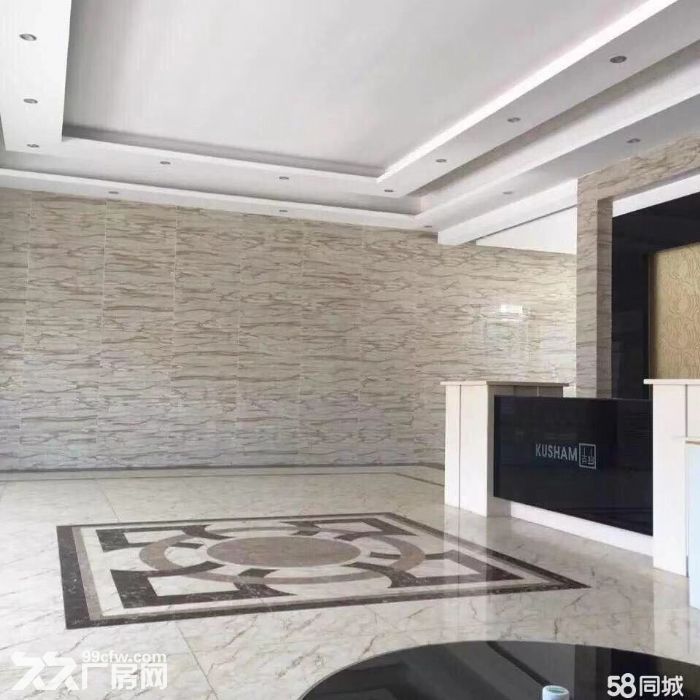 独家独院12000平厂房出租-图6