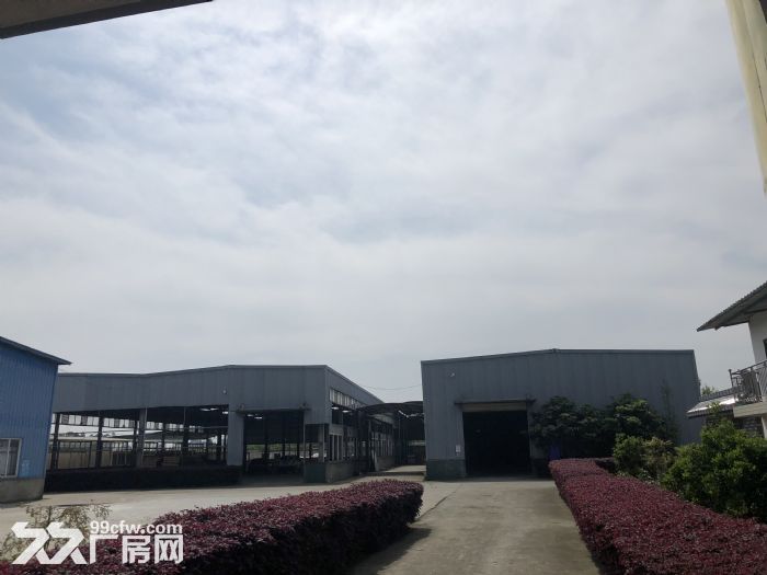 出租丹棱县杨场镇会灵村钢结构厂房