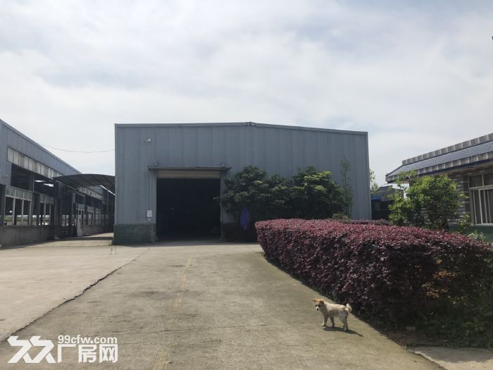 出租丹棱县杨场镇会灵村钢结构厂房-图2