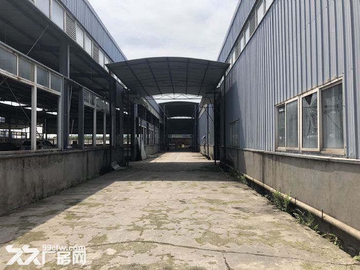 出租丹棱县杨场镇会灵村钢结构厂房-图3
