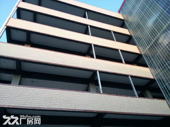 仁寿县清水镇全新厂房出租，带行车，宿舍，办公室，厨房，厕所等等，价格从优-图5