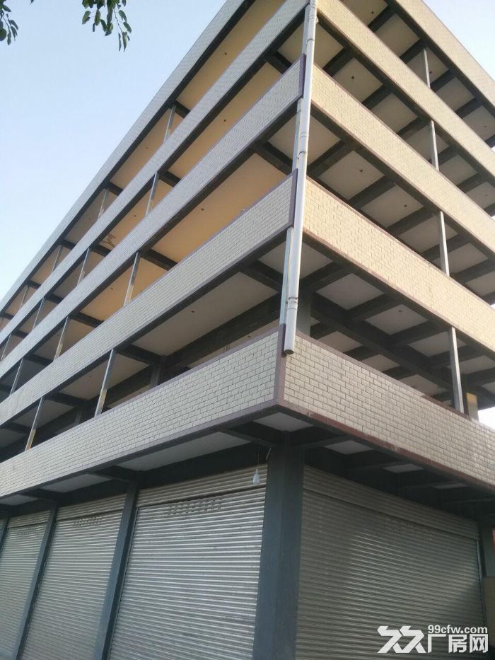 仁寿县清水镇全新厂房出租，带行车，宿舍，办公室，厨房，厕所等等，价格从优-图7