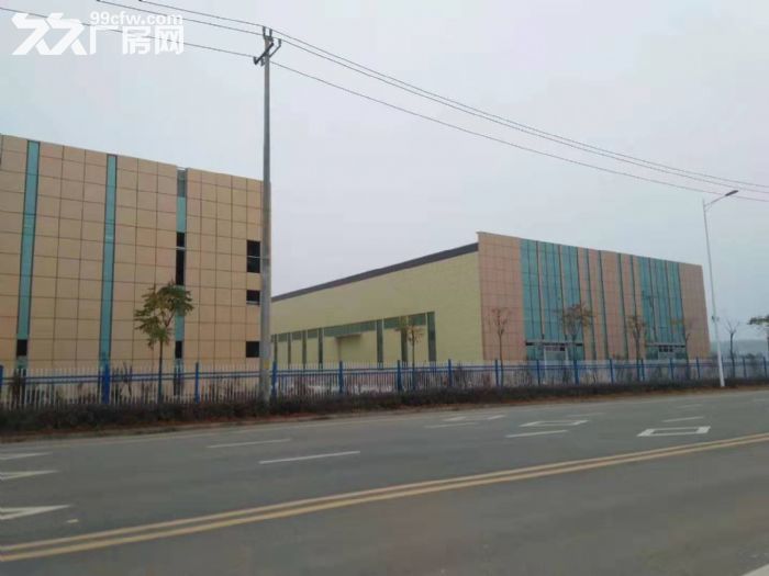 丹棱工业园区厂房出租-图2